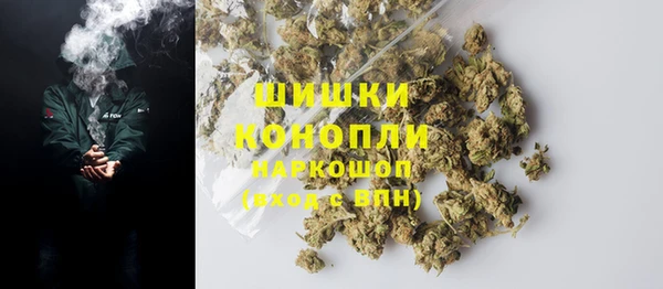 mdpv Бородино