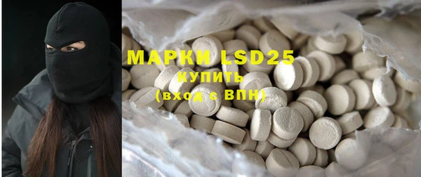 mdpv Бородино