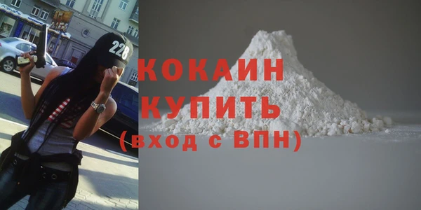 mdpv Бородино