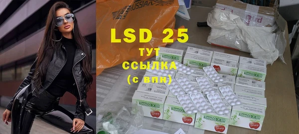 mdpv Бородино