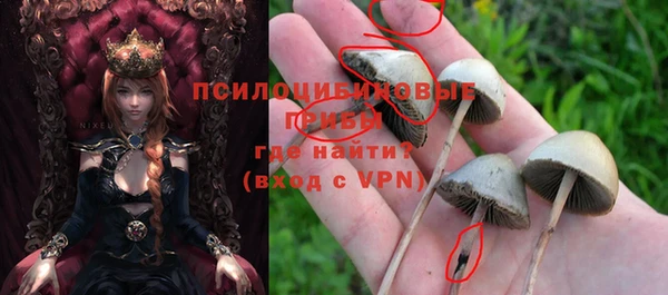 mdpv Бородино