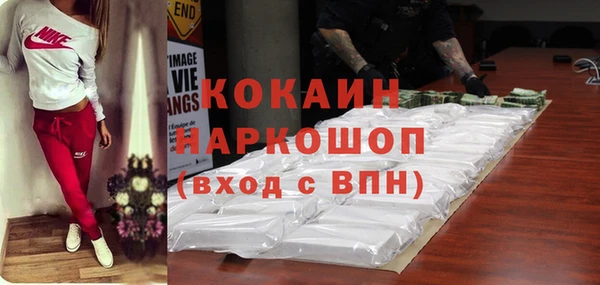 mdpv Бородино