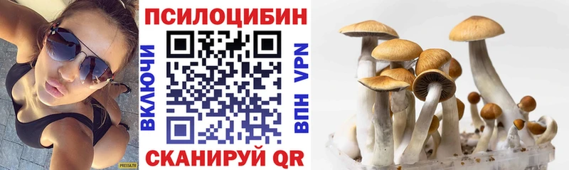 закладка  Острогожск  Псилоцибиновые грибы GOLDEN TEACHER 